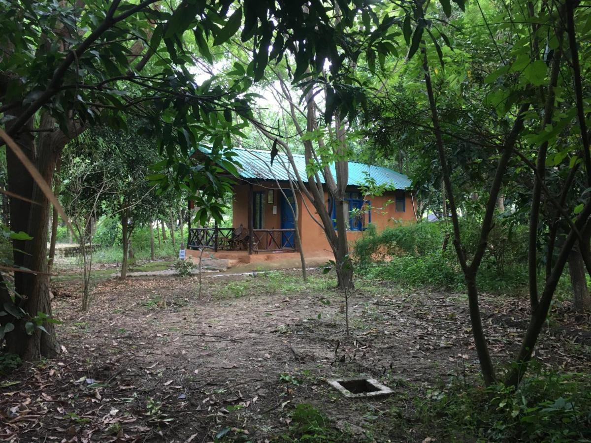 Camp Hornbill Corbett Hotel Ramnagar  Ngoại thất bức ảnh