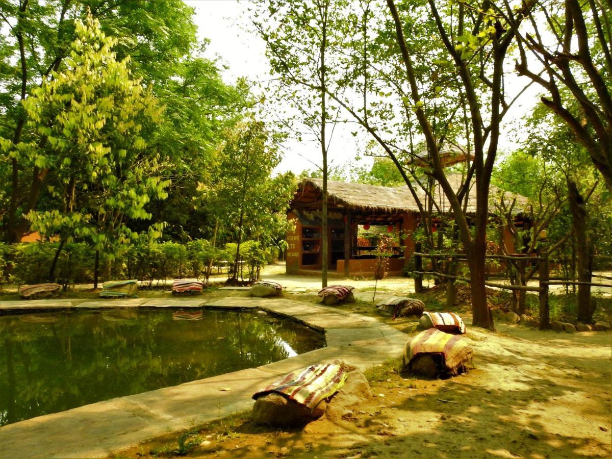 Camp Hornbill Corbett Hotel Ramnagar  Ngoại thất bức ảnh