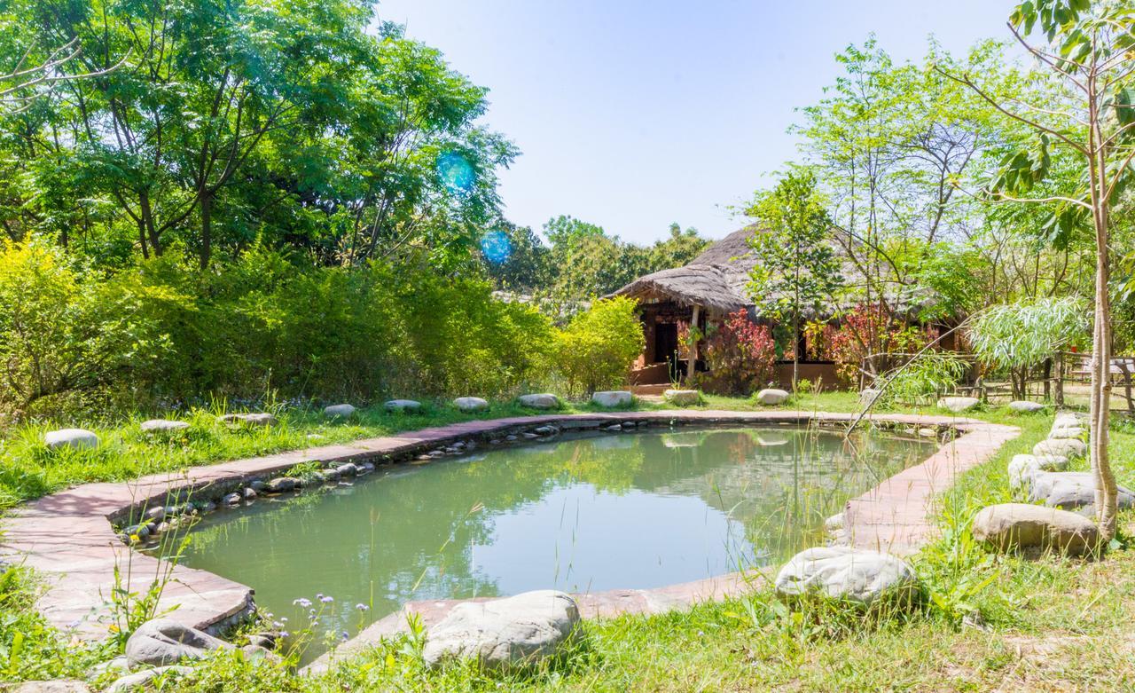 Camp Hornbill Corbett Hotel Ramnagar  Ngoại thất bức ảnh